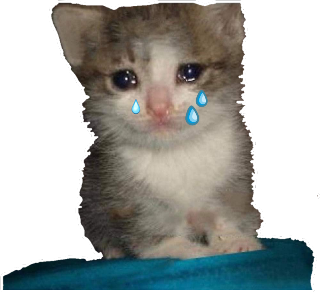 Gatito Llorando Meme.PNG Fondos de pantalla