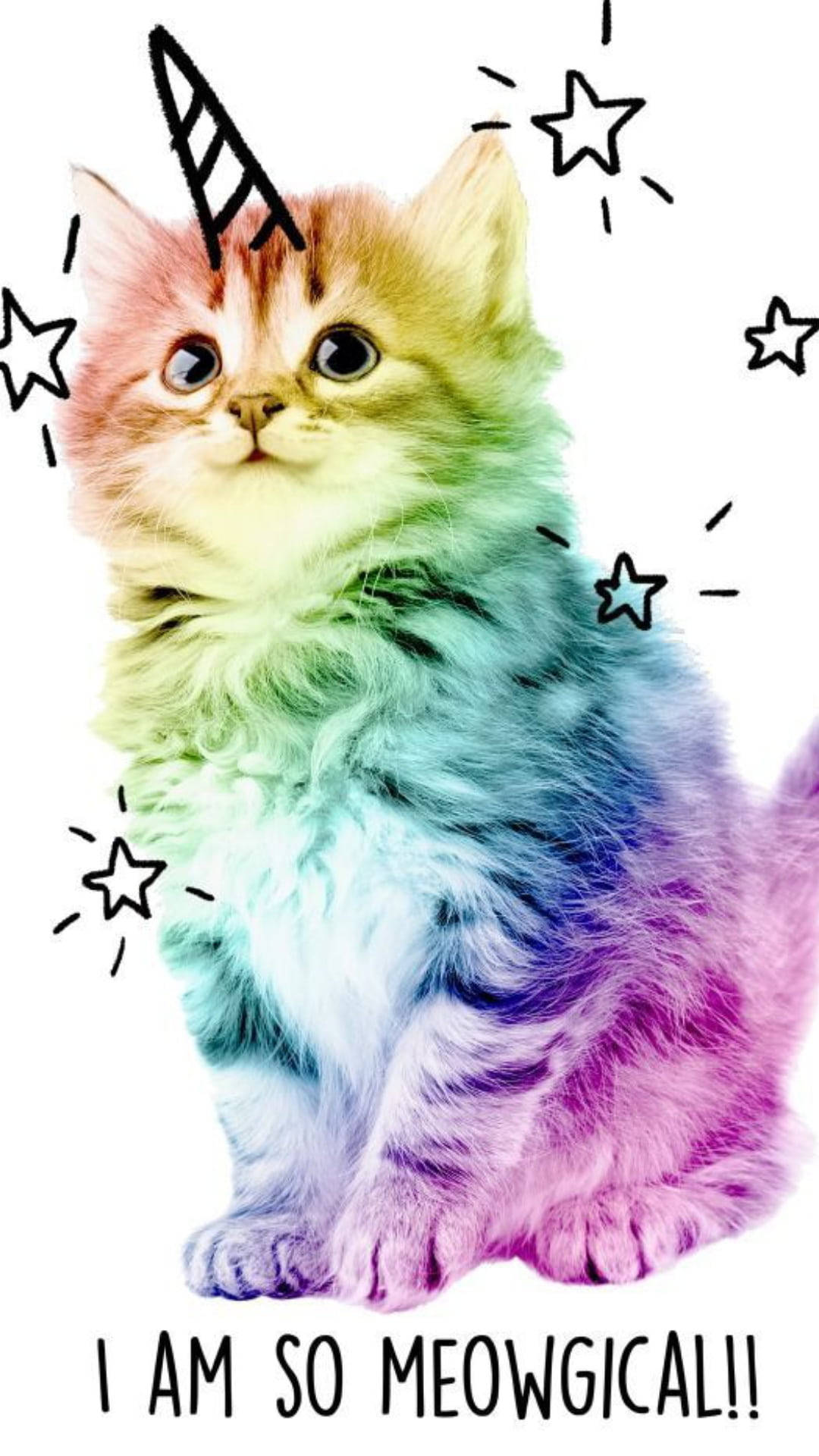 Gatito Multicolor Lindo Fondos de pantalla