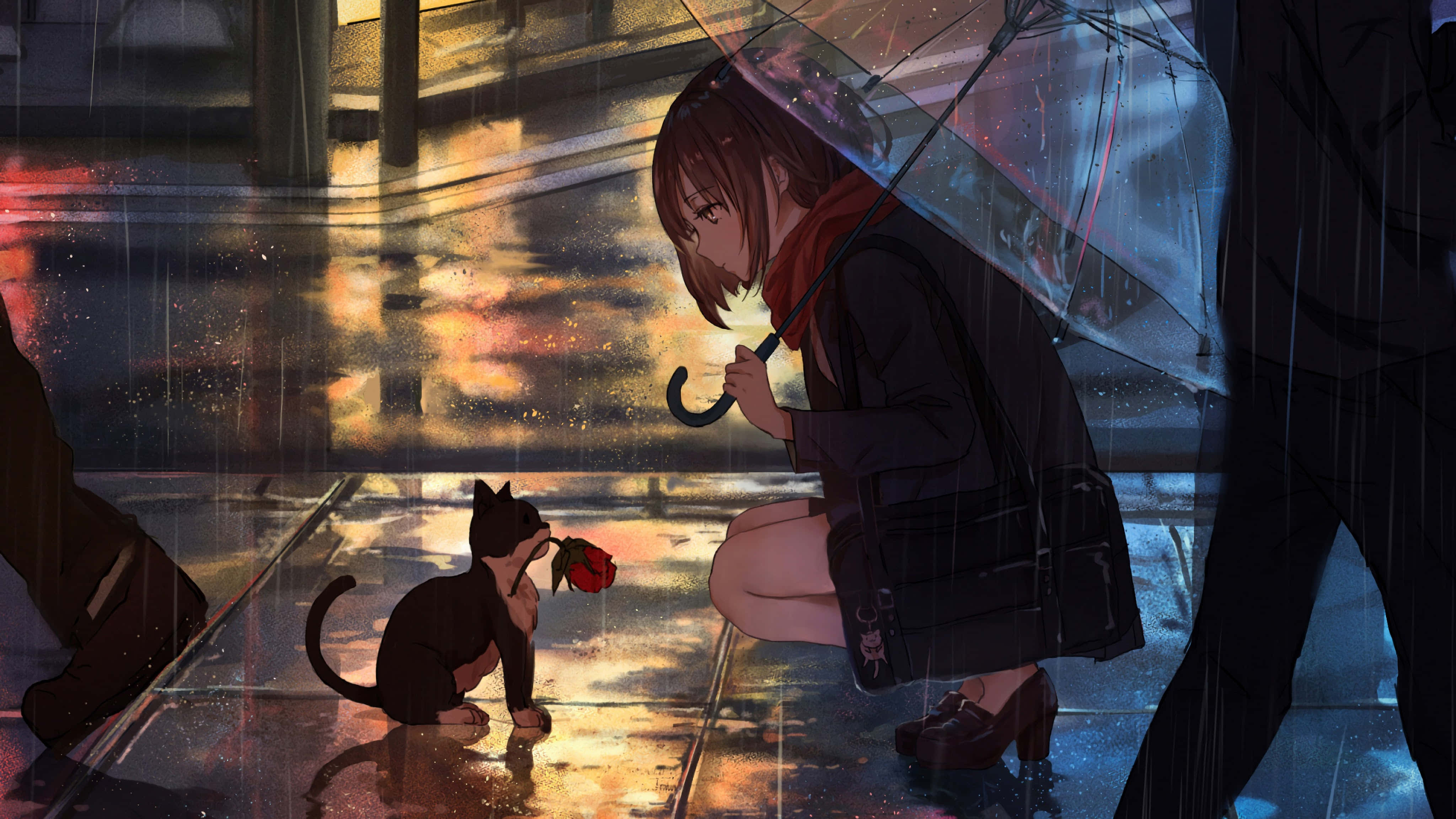 Gato Anime Adorable Durmiendo Plácidamente Fondos de pantalla