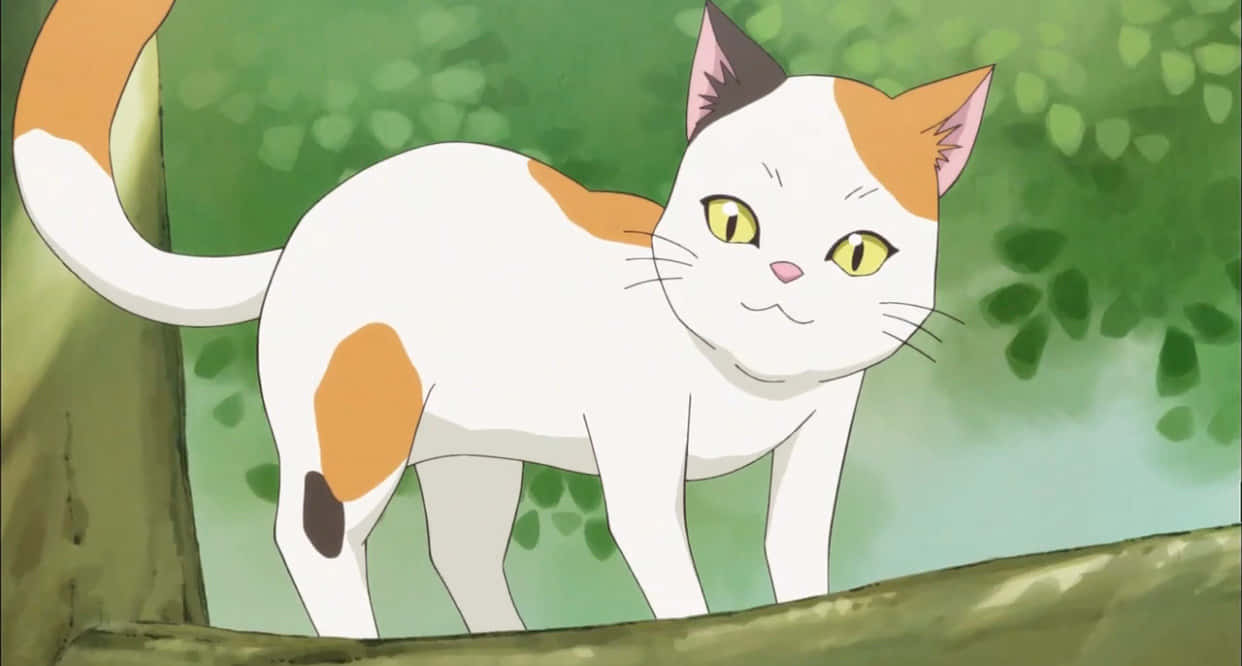 Gato anime perfecto Fondos de pantalla