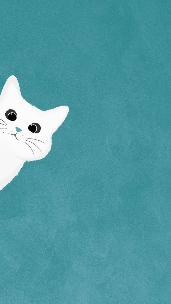 Gato blanco asomado estética sencilla Fondos de pantalla