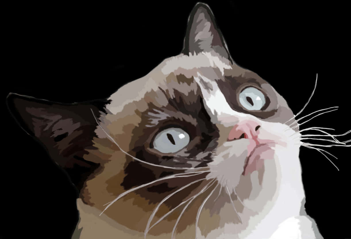 Gato blanco y café curioso Fondos de pantalla