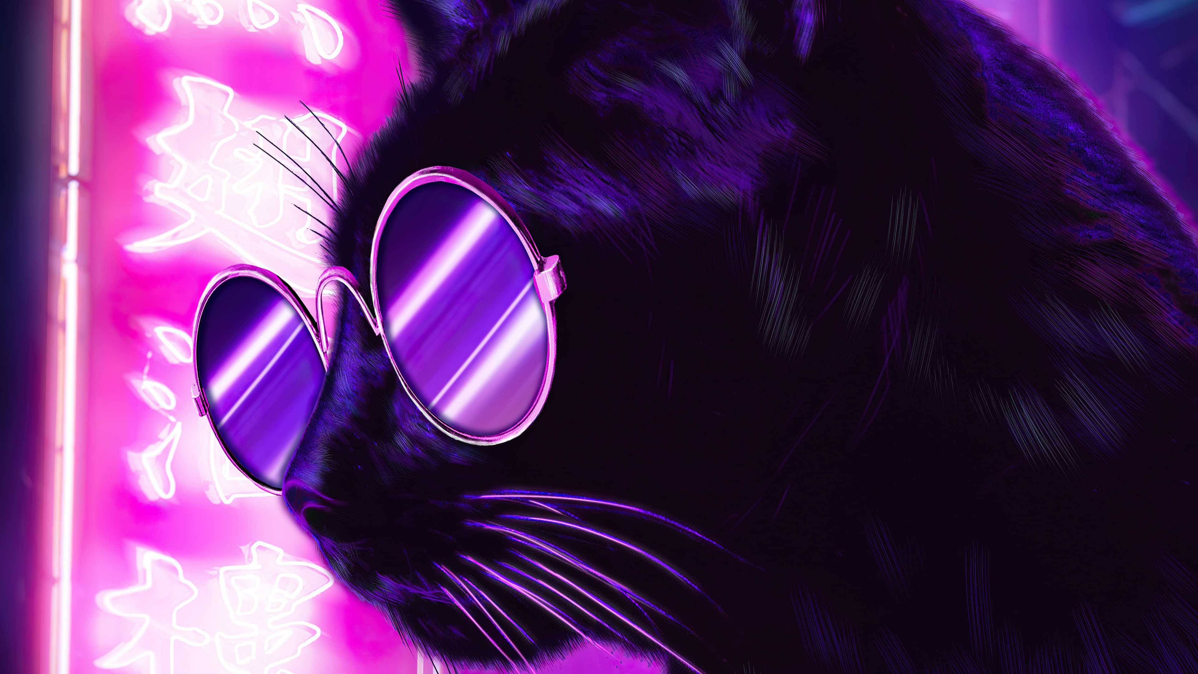 Gato con lentes de sol estética neón morado Fondos de pantalla