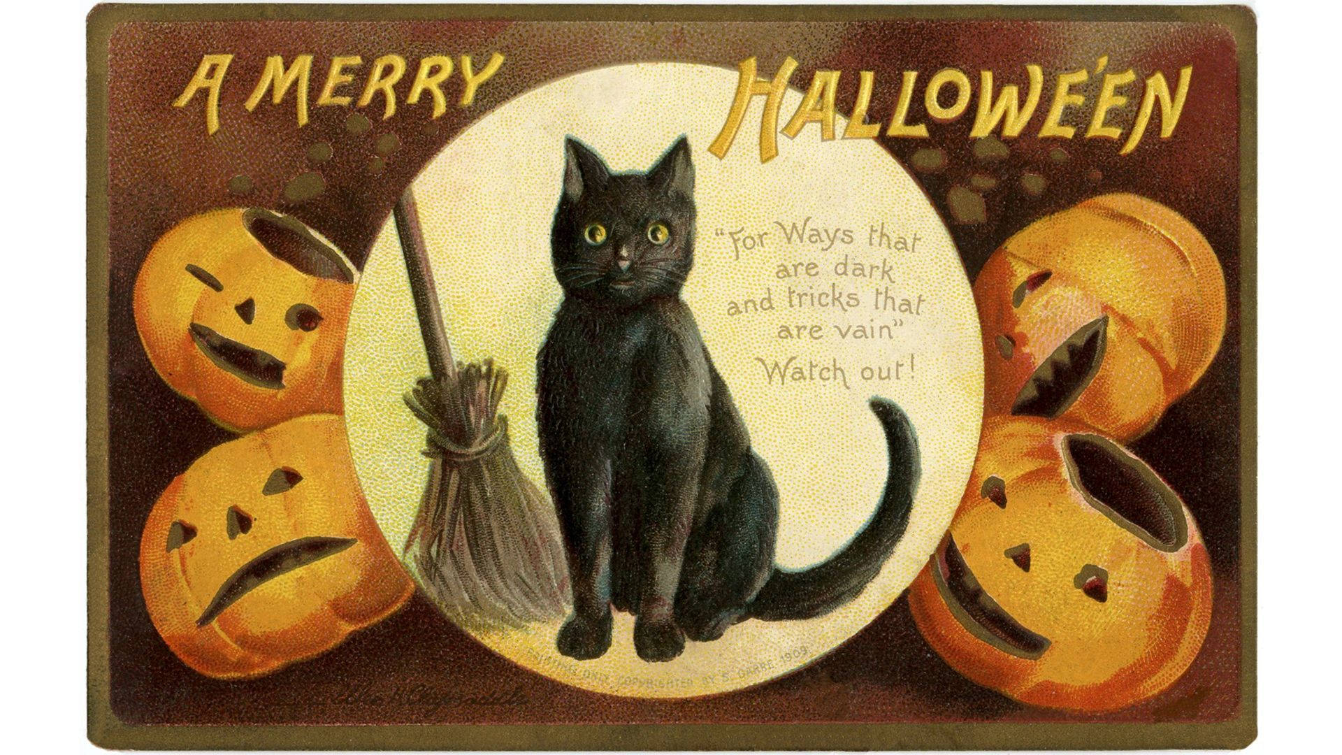 Gato de Bruja de Halloween Vintage Fondos de pantalla