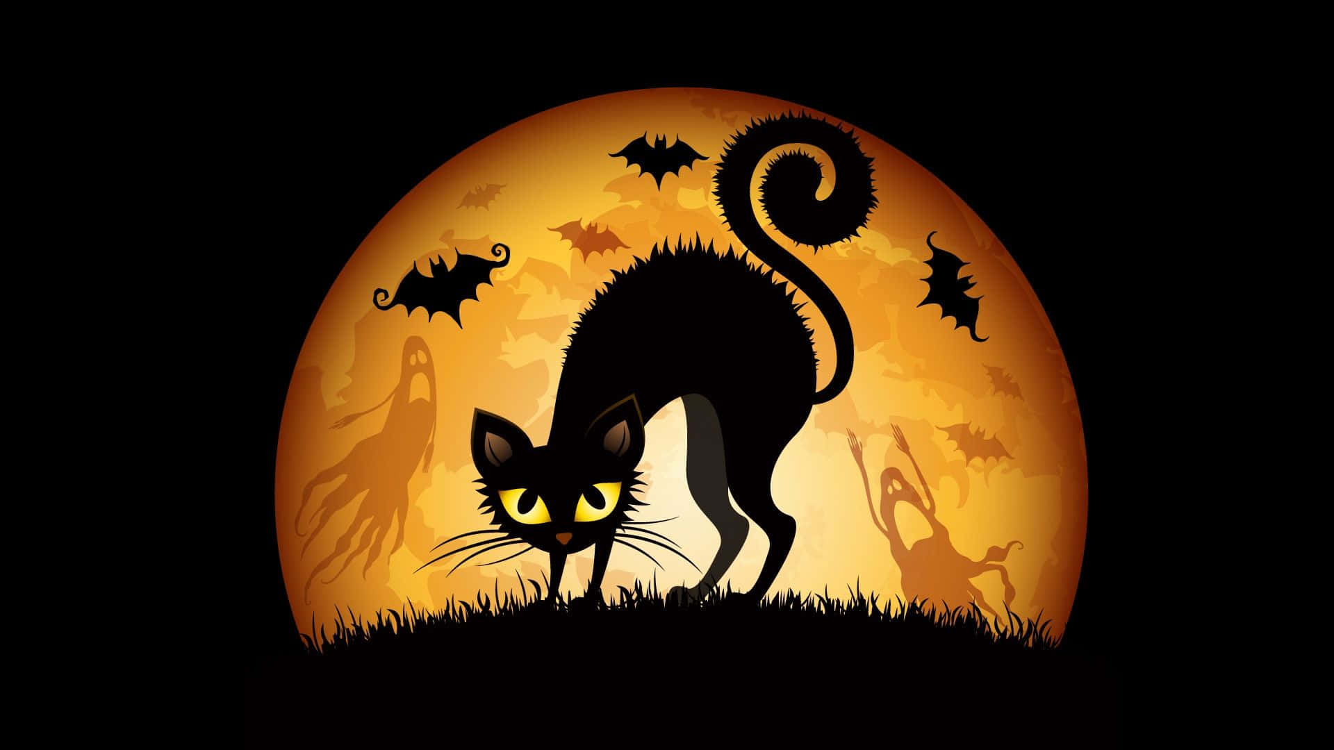 Gato de Halloween Espeluznante Fondos de pantalla