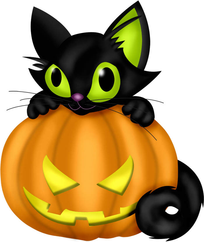Gato de Halloween en Calabaza Fondos de pantalla