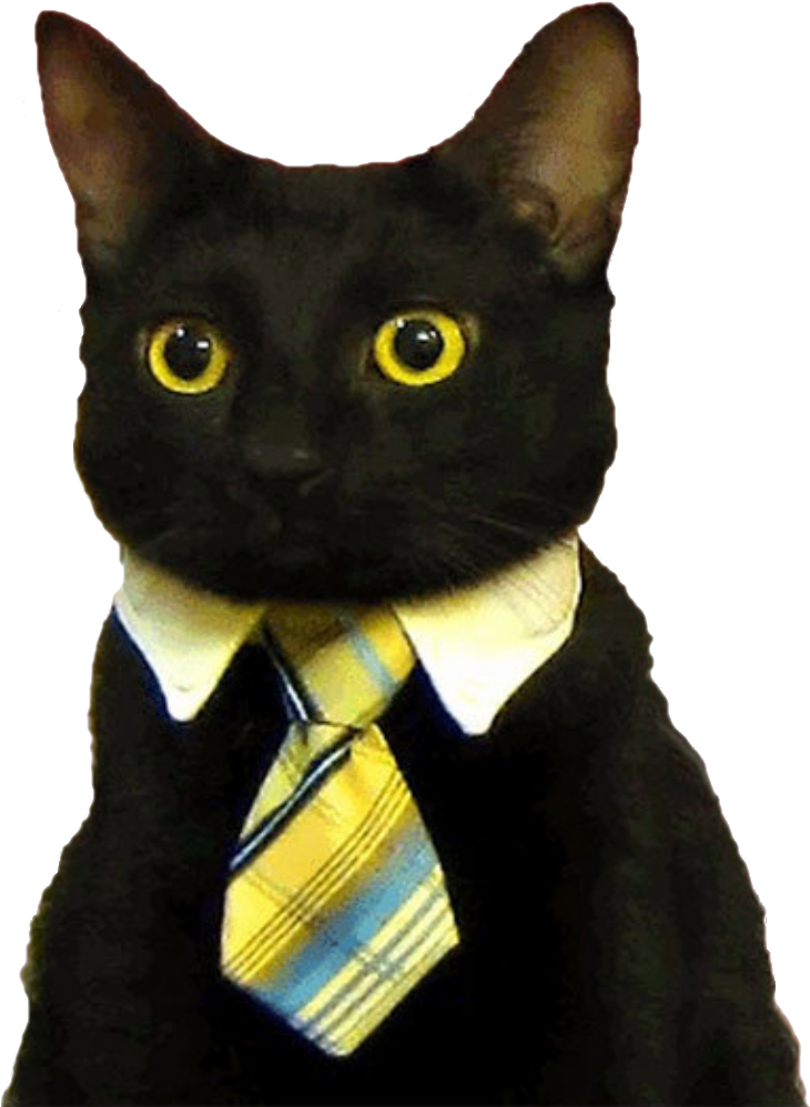 Gato de negocios en traje Meme.PNG Fondos de pantalla