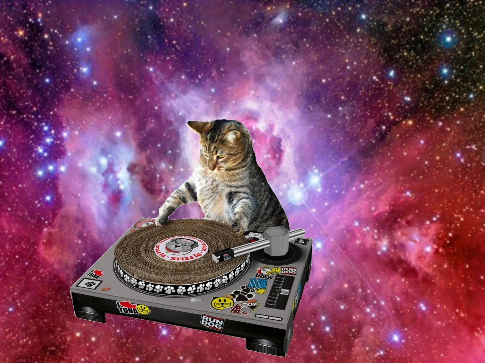 Gato DJ Divertido Tocando en el Espacio Fondos de pantalla