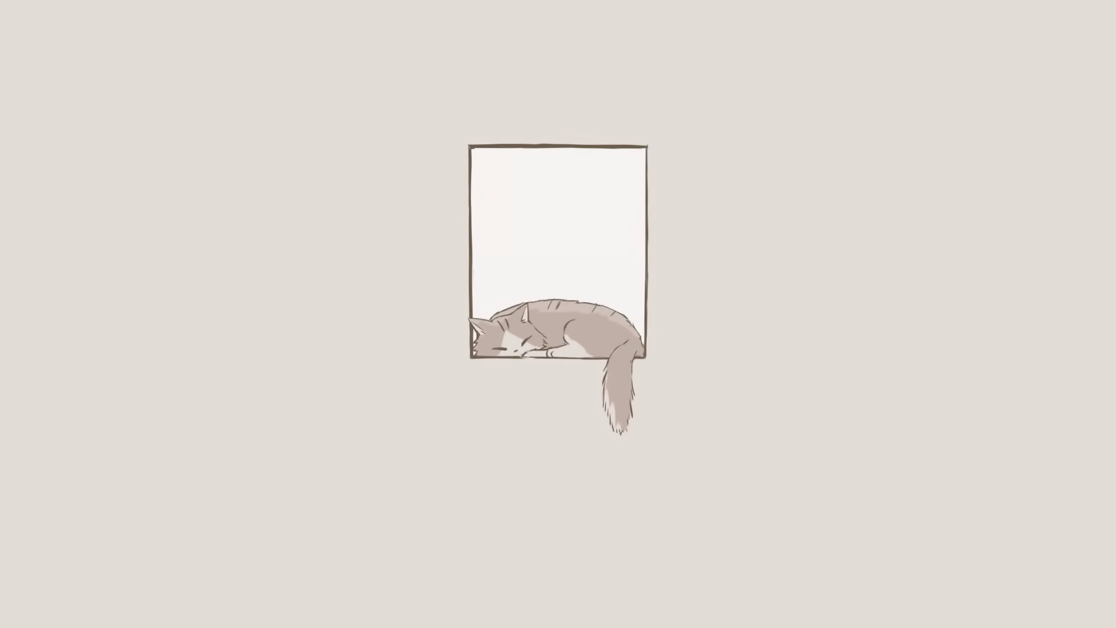 Gato Durmiendo Estética Minimalista para Laptop Fondos de pantalla
