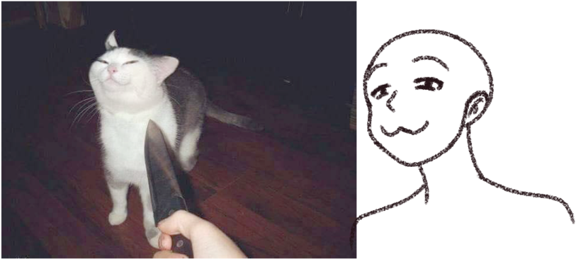 Gato Educado Meme y Dibujo Fondos de pantalla