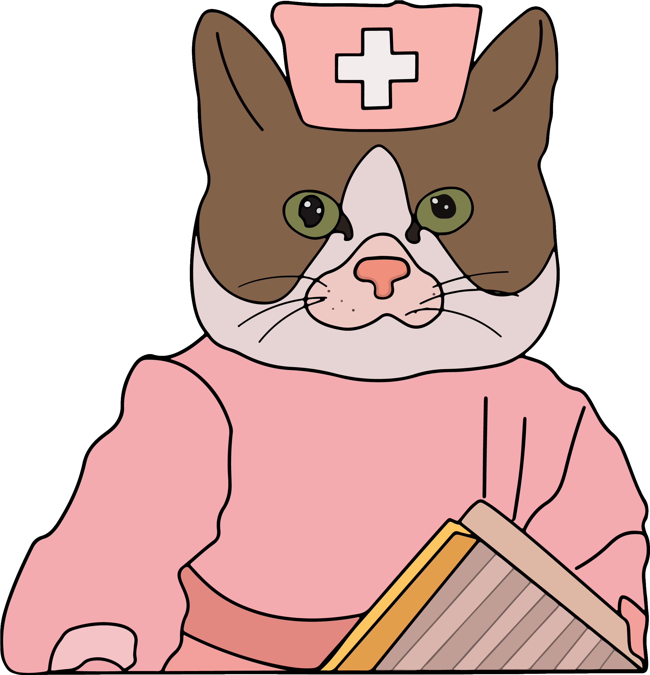 Gato Enfermero Meme de Dibujos Animados Fondos de pantalla