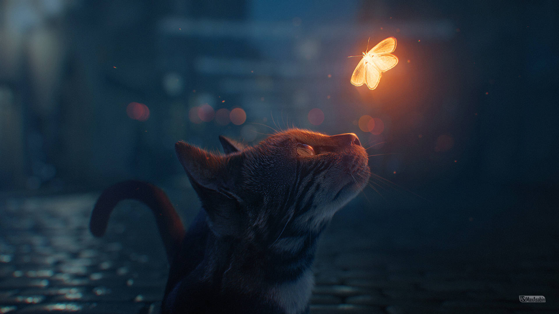 Gato Estético con Mariposa Fondos de pantalla