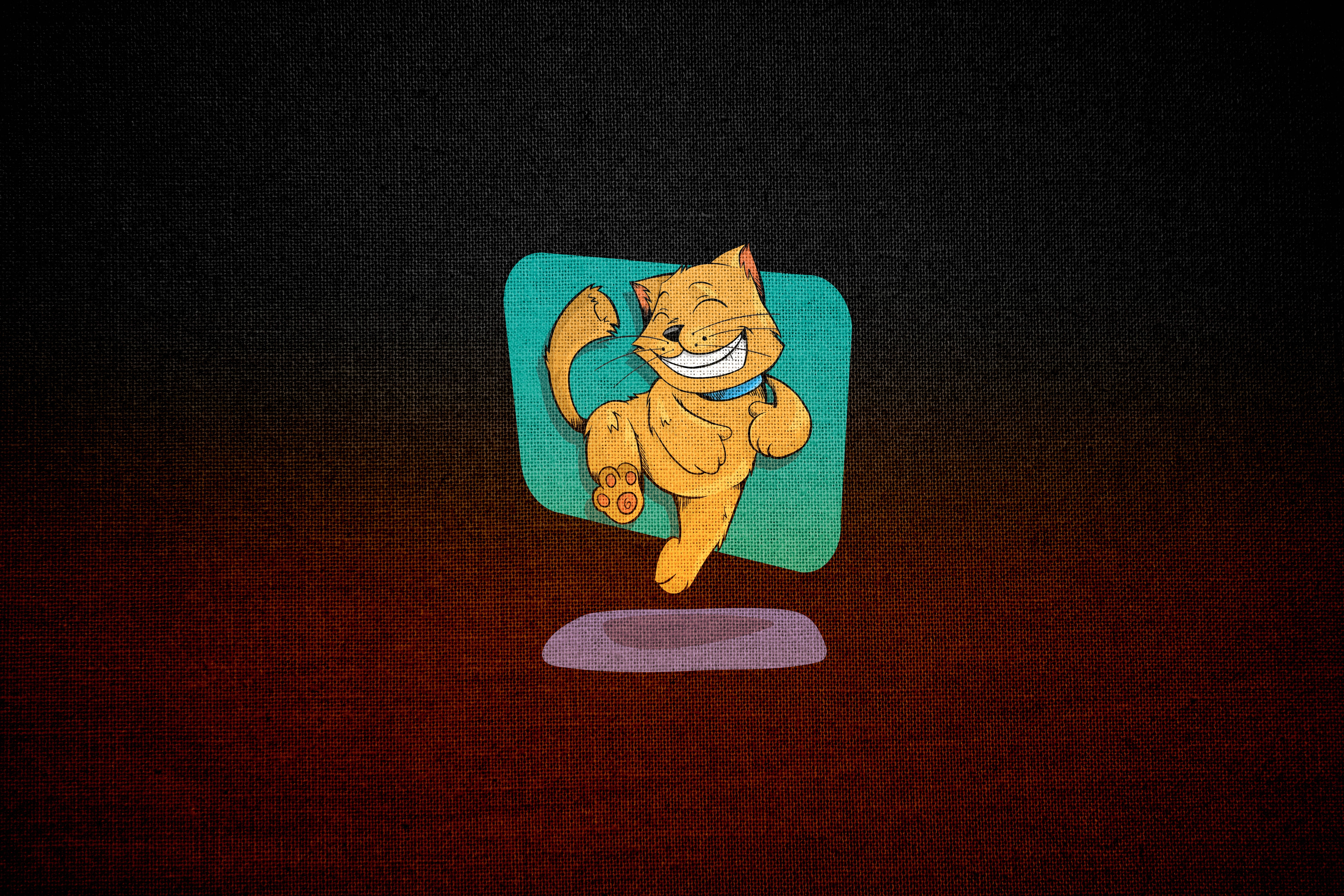 Gato Feliz Saltando Amarillo Fondos de pantalla
