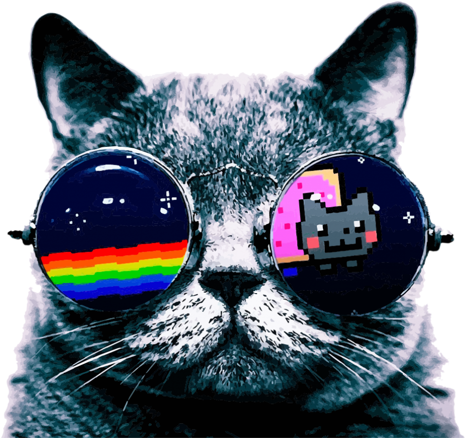 Gato genial con lentes de sol meme Fondos de pantalla