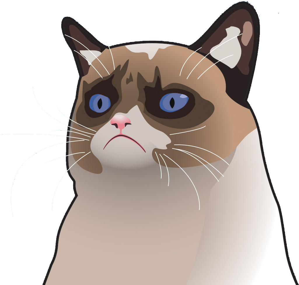 Gato gruñón con expresión de dibujo animado Fondos de pantalla