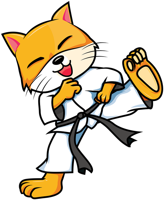 Gato karateca riendo en caricatura Fondos de pantalla
