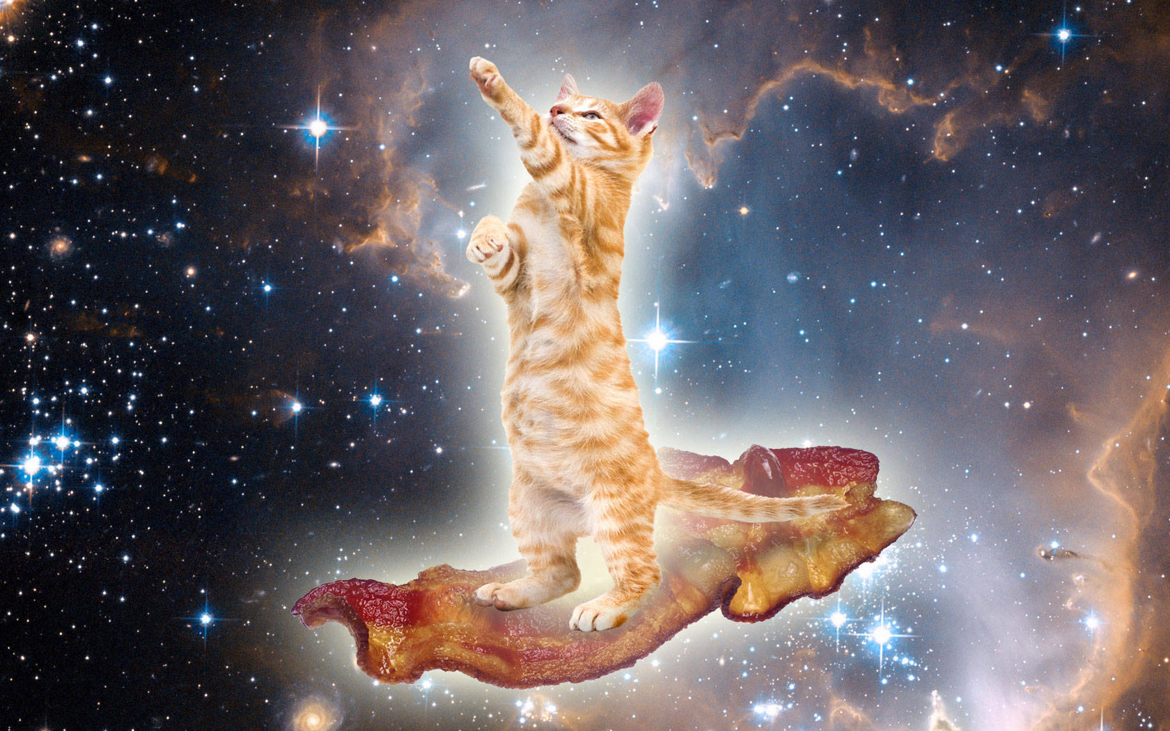 Gato Kawaii en Galaxia Fondos de pantalla