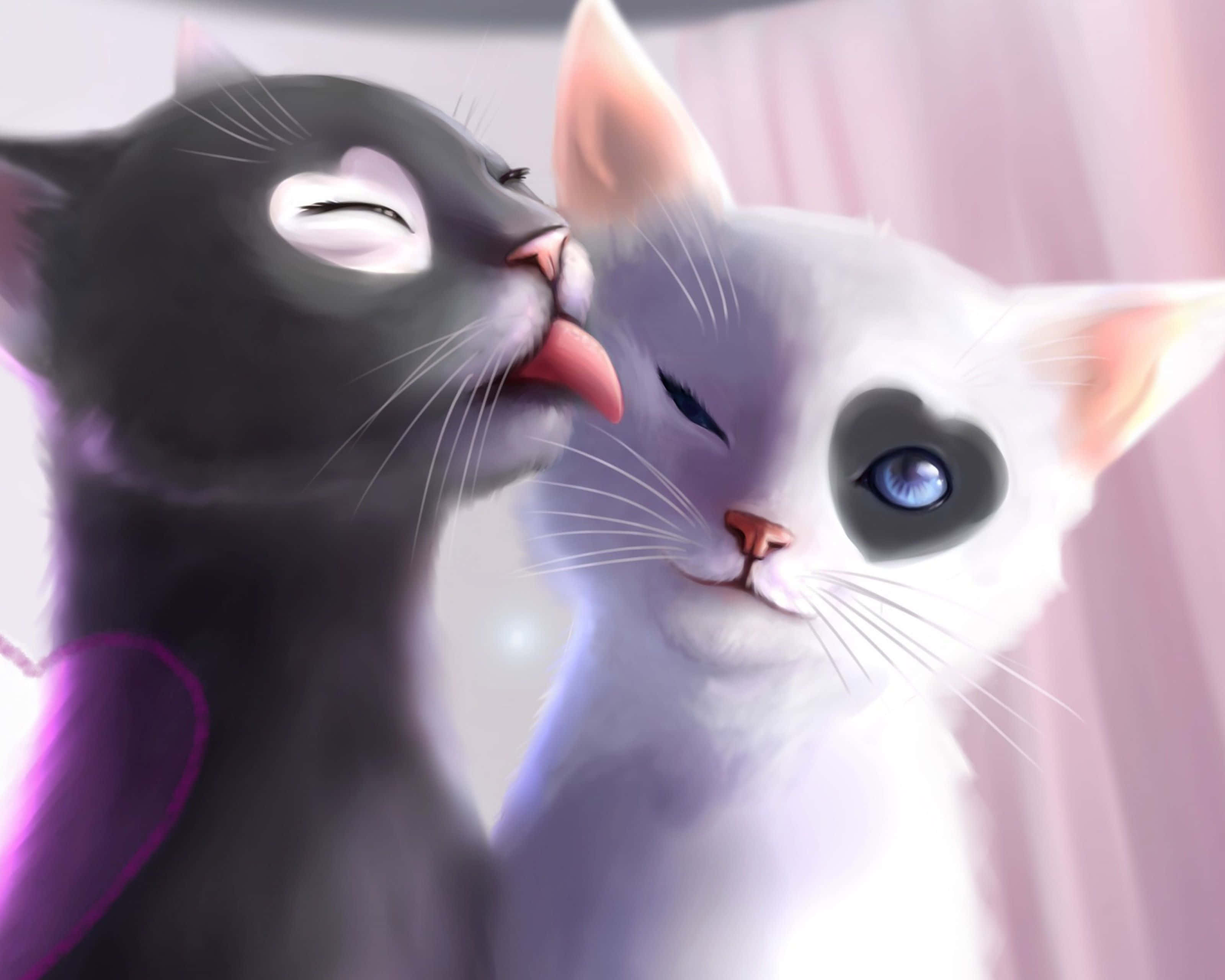 Gato Lamido para Foto de Perfil en Pareja Fondos de pantalla