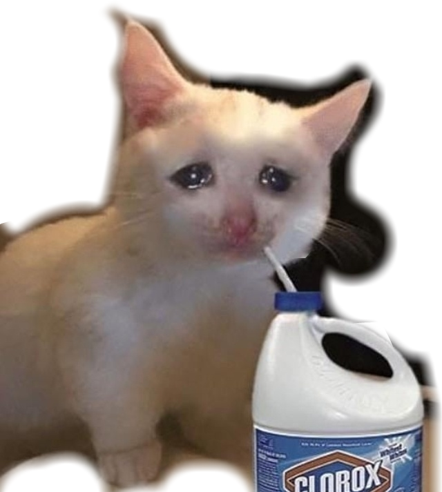 Gato Llorando con Meme de Cloro Fondos de pantalla