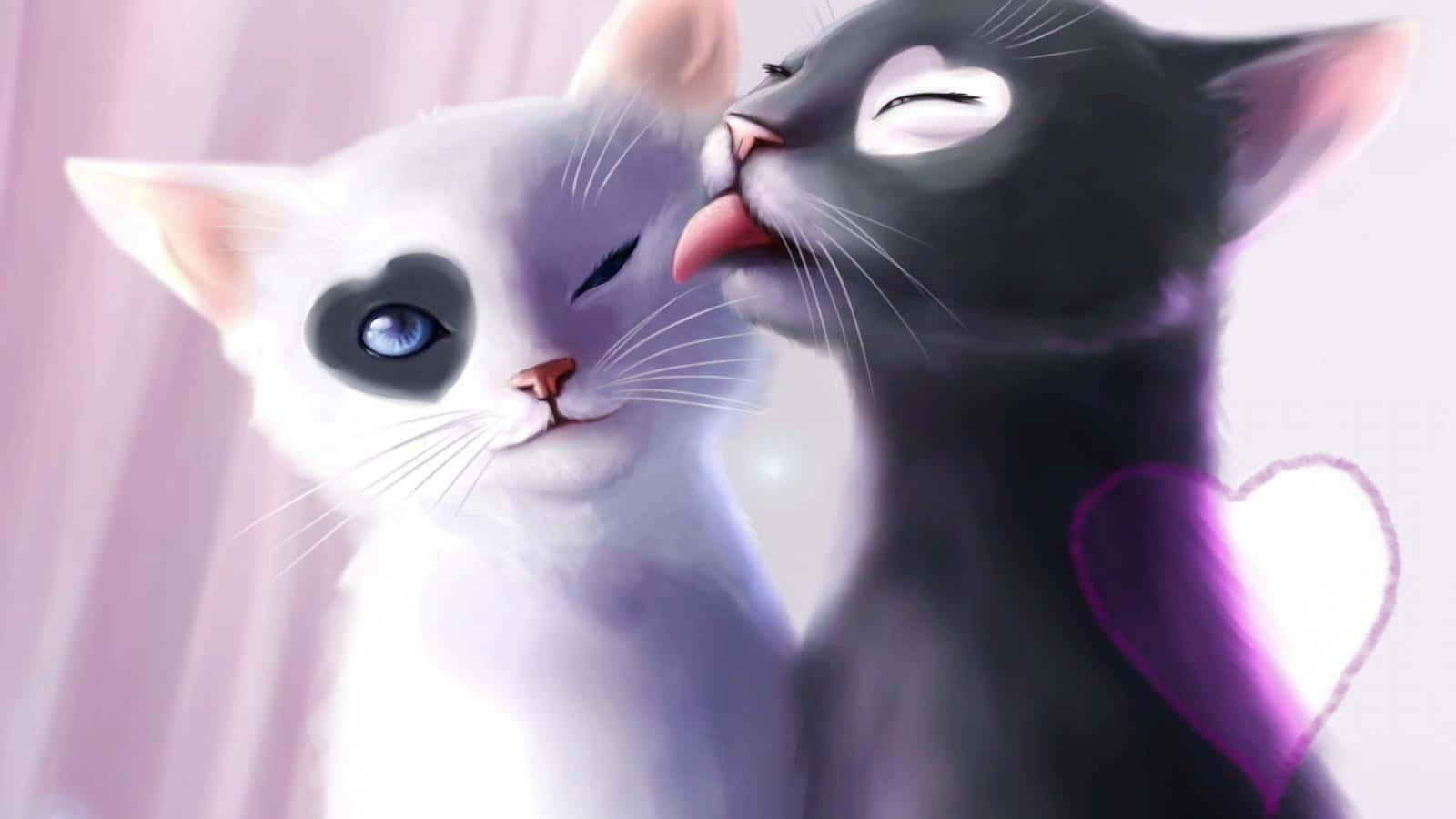 Gato Mágico Esparce Sonrisas por el Mundo Fondos de pantalla
