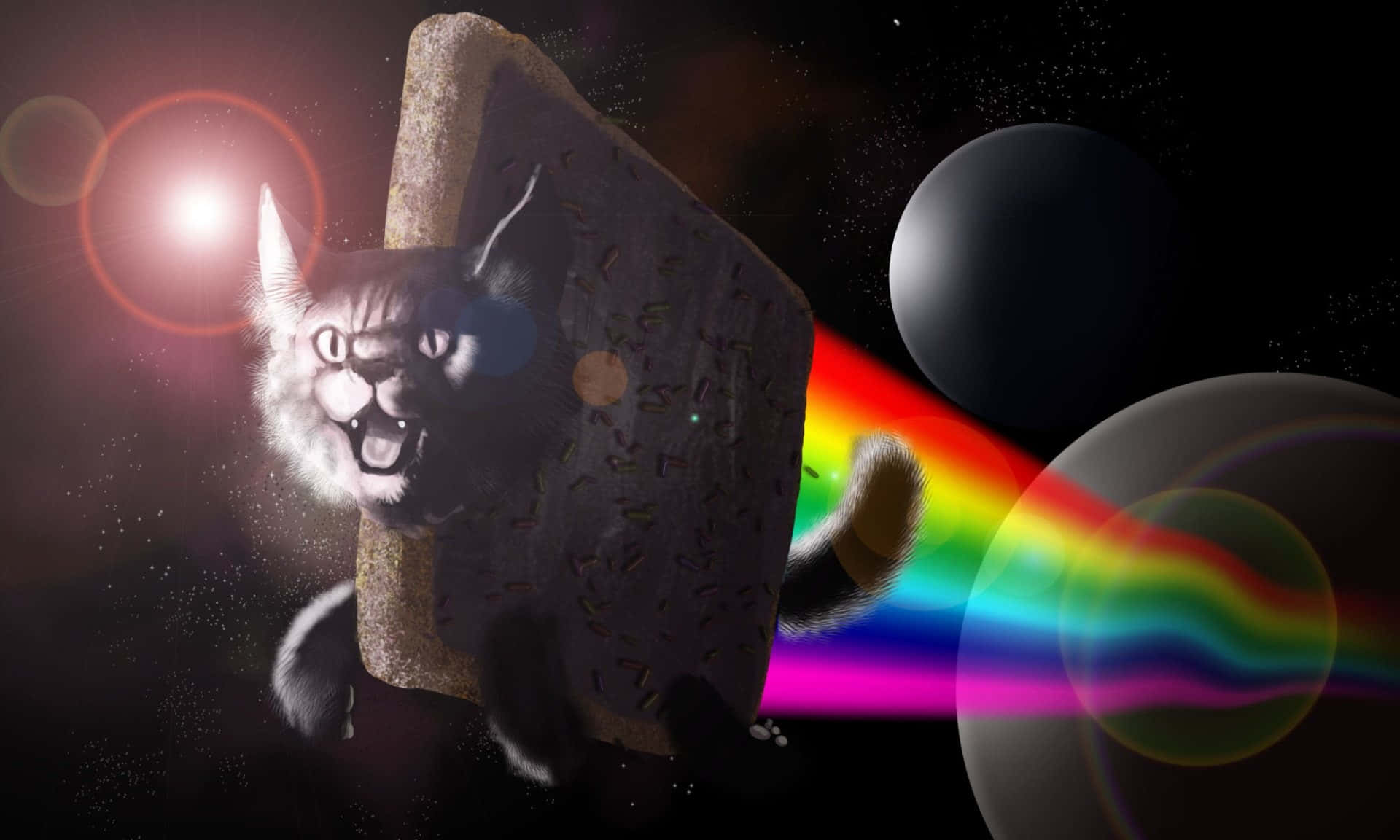 Gato Maldito Arcoíris Espacial Fondos de pantalla