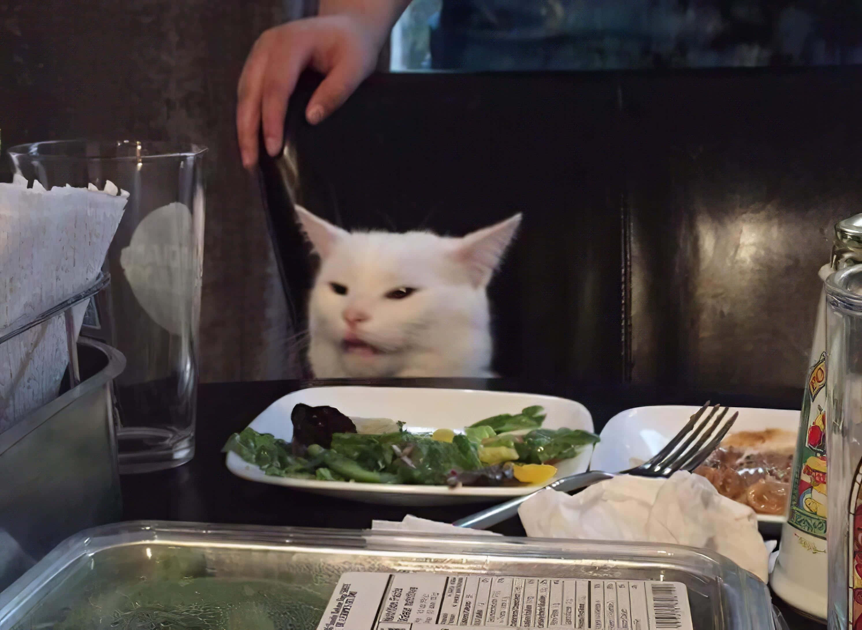 Gato Maldito en la Mesa Fondos de pantalla