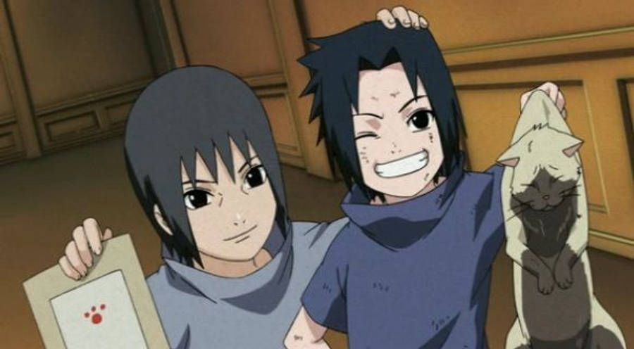Gato Naruto Itachi Uchiha 4K Fondos de pantalla