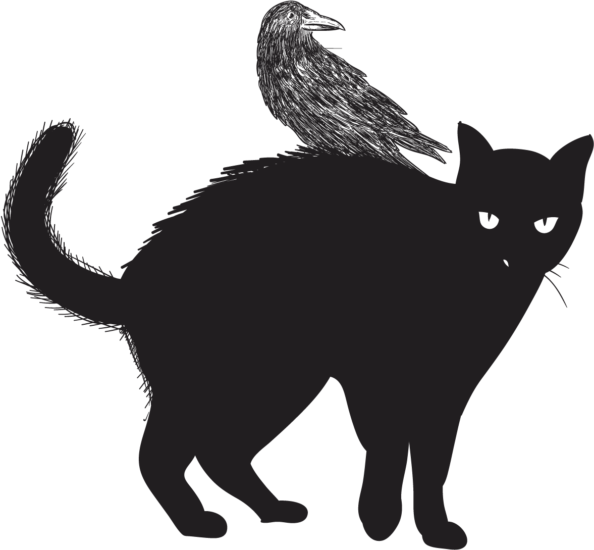 Gato negro con silueta de cuervo Fondos de pantalla