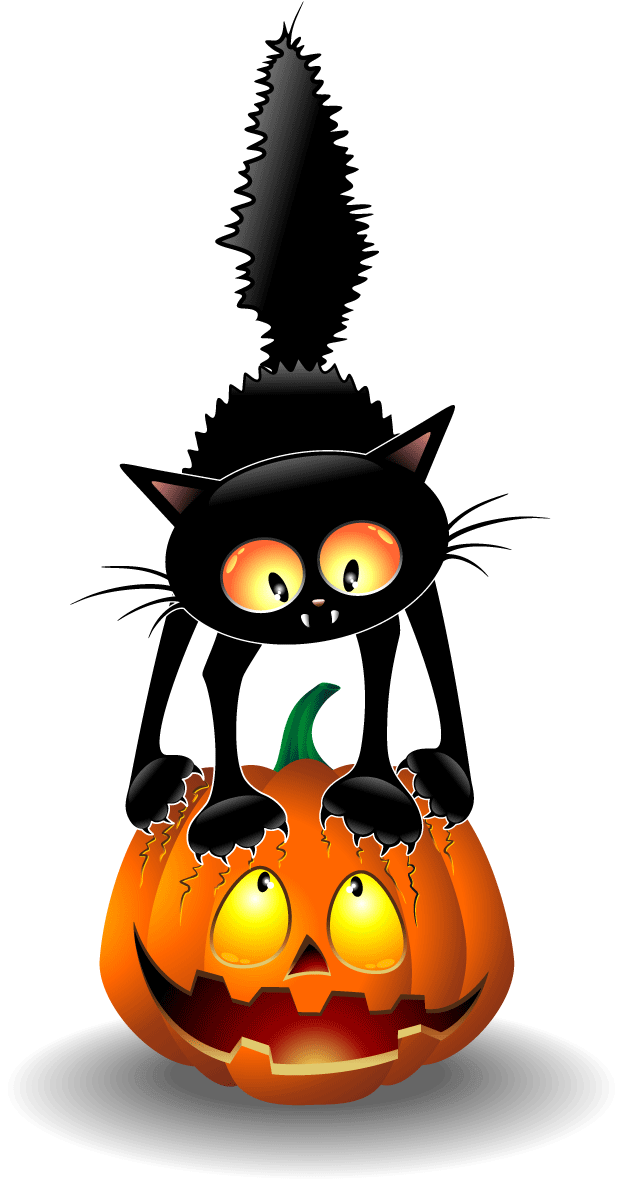 Gato Negro de Halloween y Jack O Lantern Fondos de pantalla