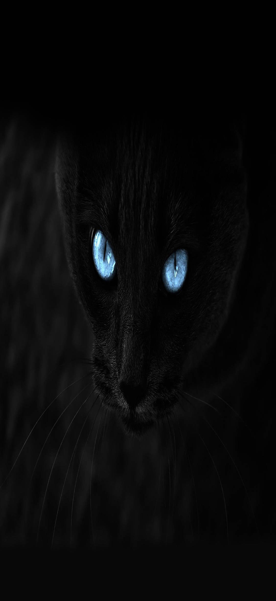Gato Negro Full HD para Teléfono Fondos de pantalla