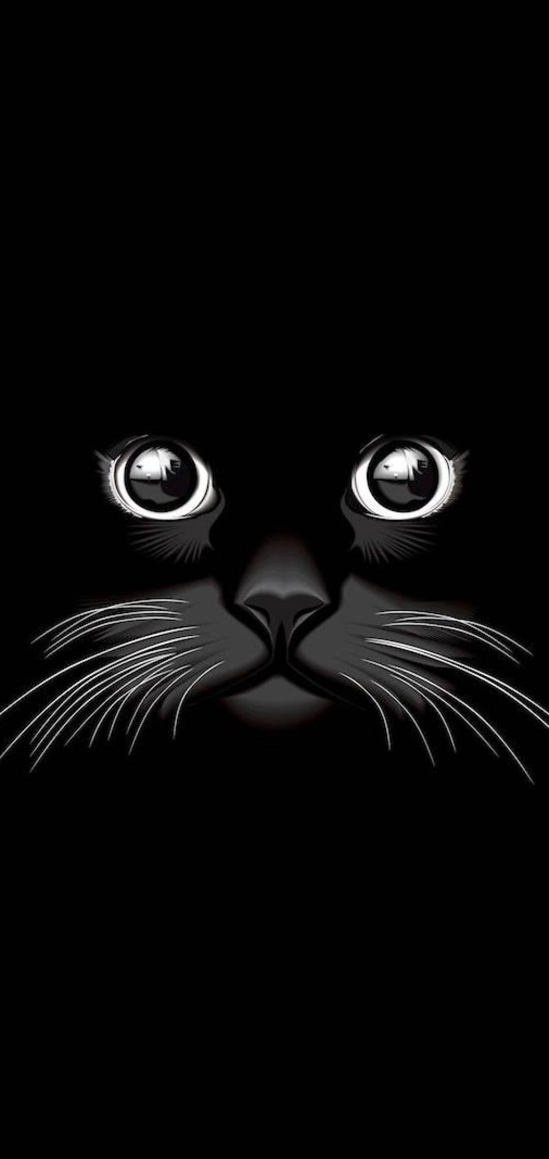 Gato negro genial Fondos de pantalla