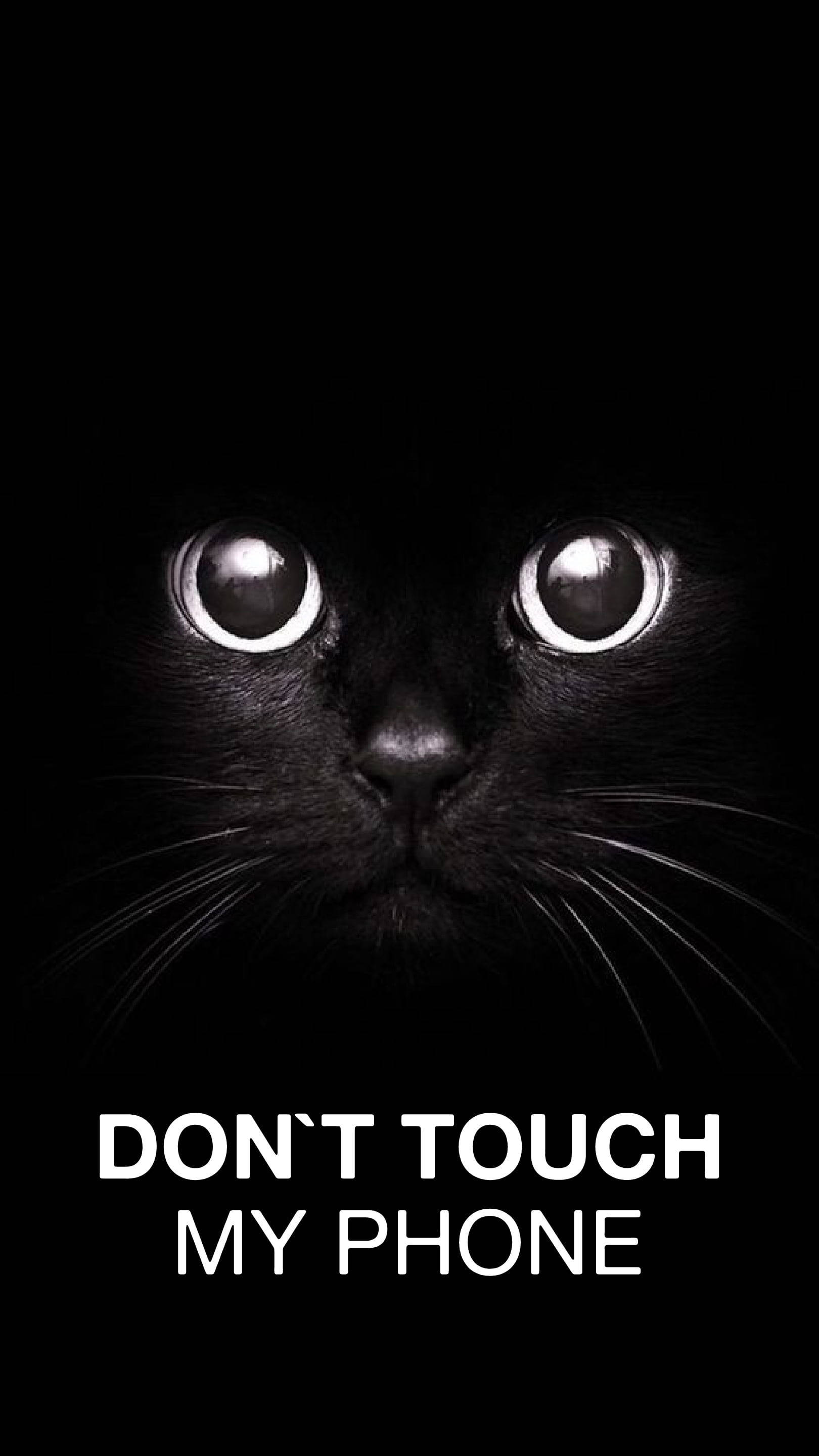 Gato Negro Gracioso Fuera de Mi Teléfono Fondos de pantalla