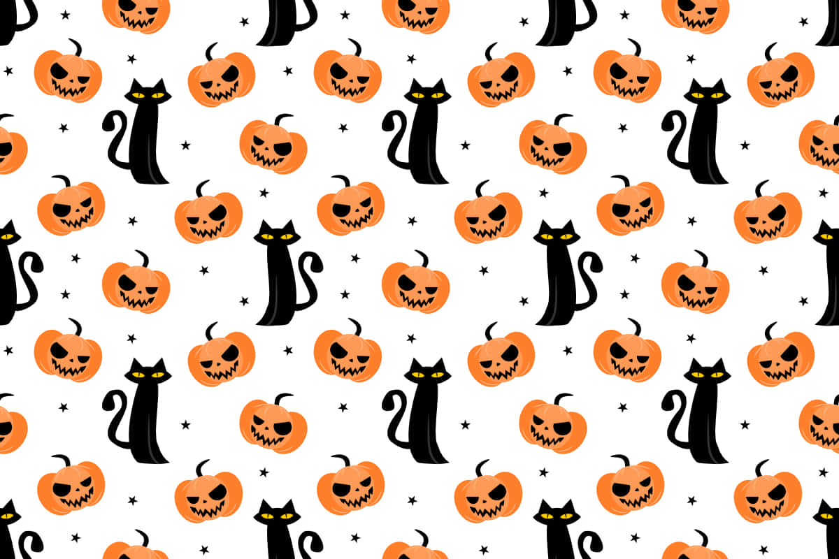 Gato Negro, la Mascota Perfecta Fondos de pantalla
