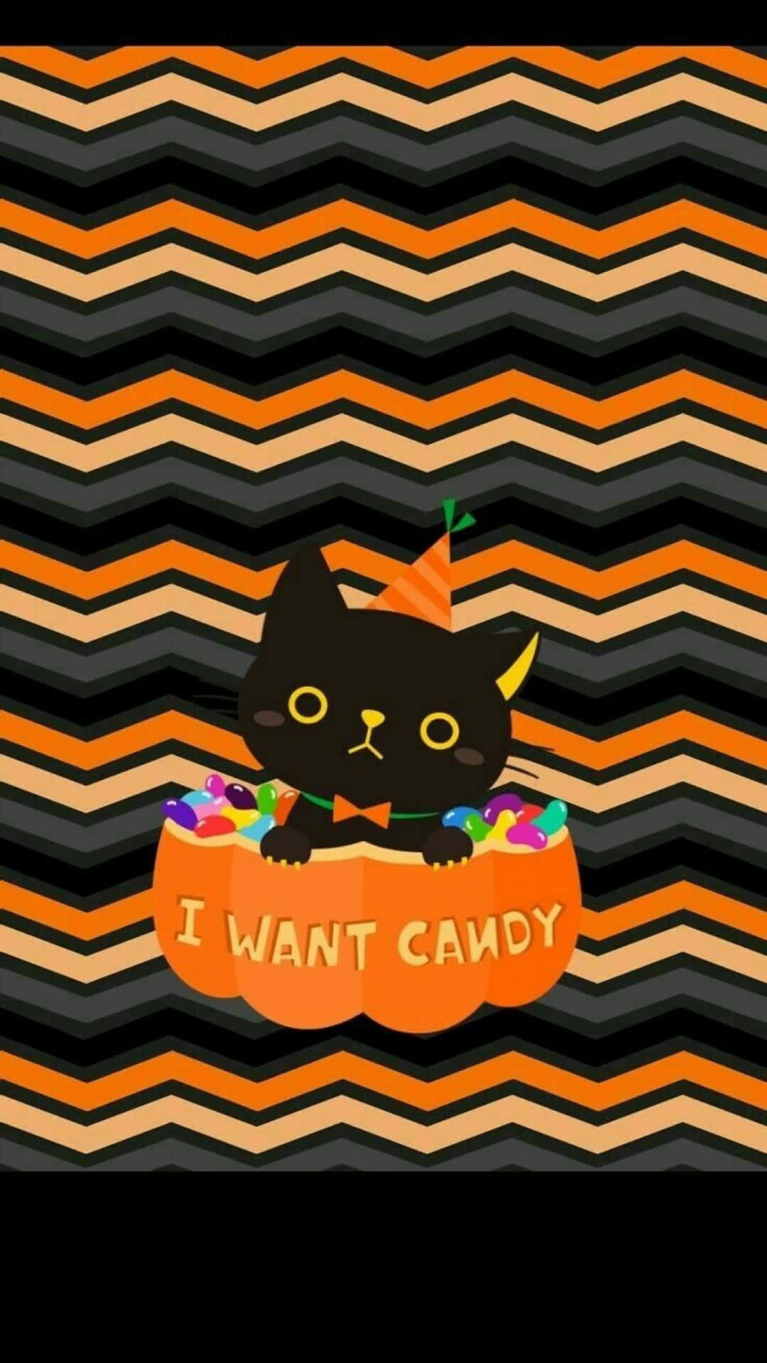 Gato negro lindo de Halloween estético en una calabaza Fondos de pantalla