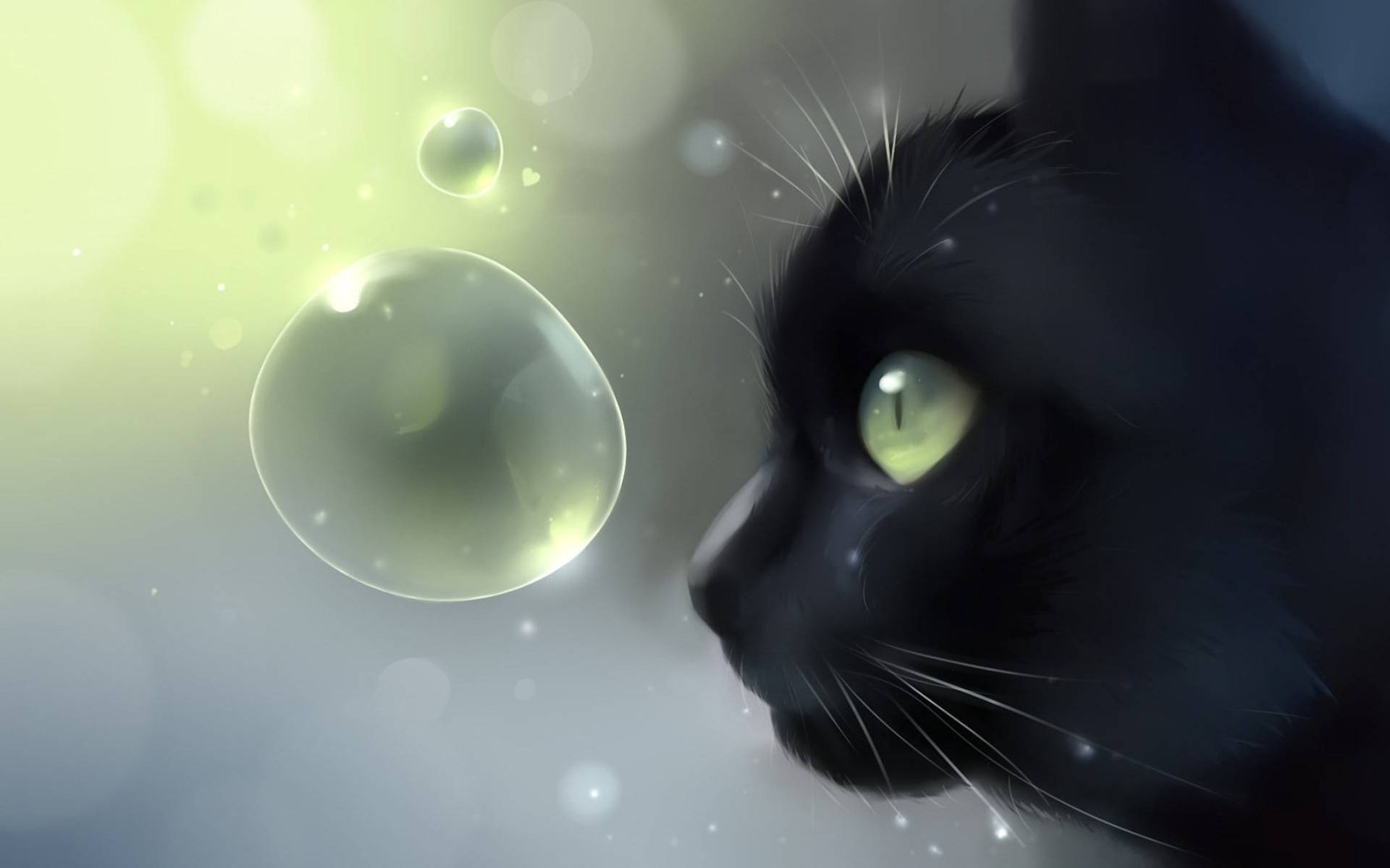 Gato Negro Lindo y Burbuja Fondos de pantalla