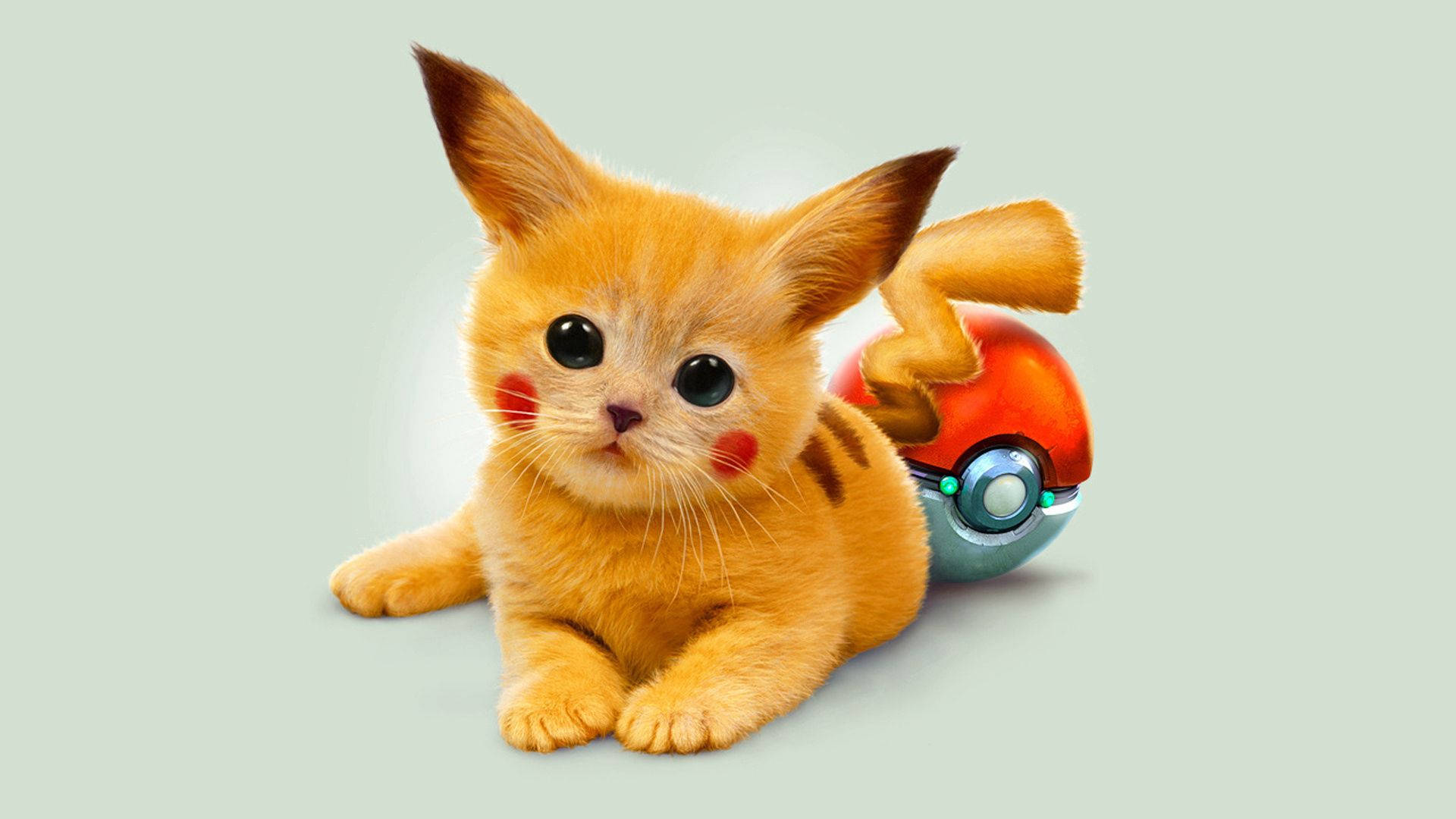 Fondo de pantalla de Pikachu de un gato editado como Pikachu con colas y cara de Pikachu.