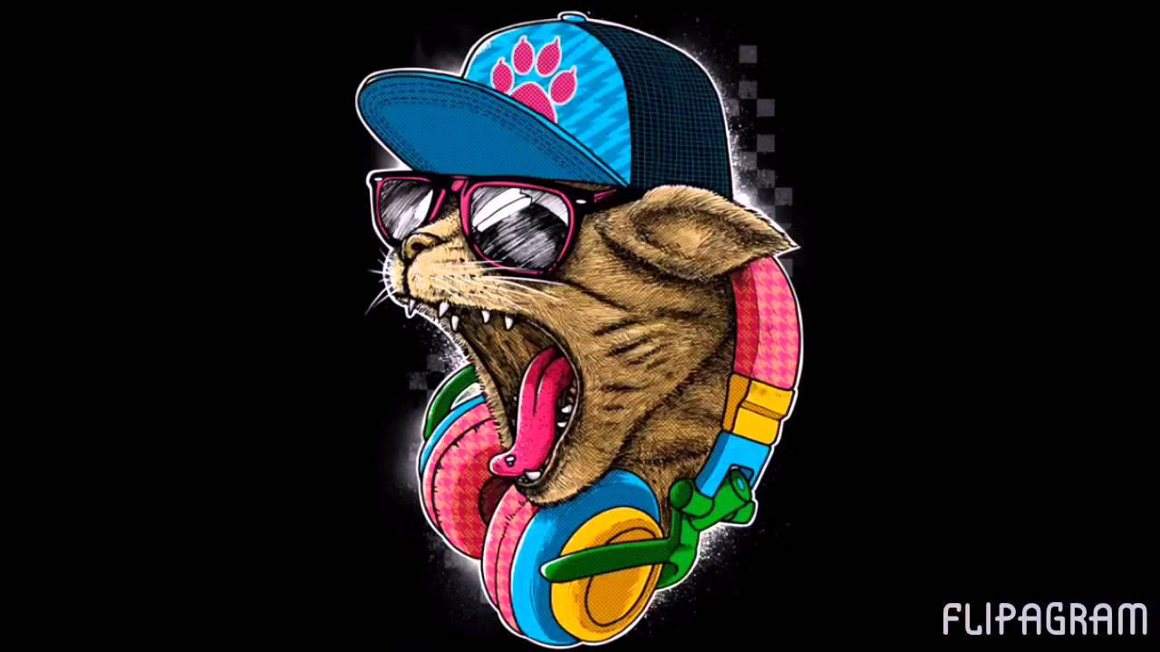 Gato Punk Rock Divertido Fondos de pantalla