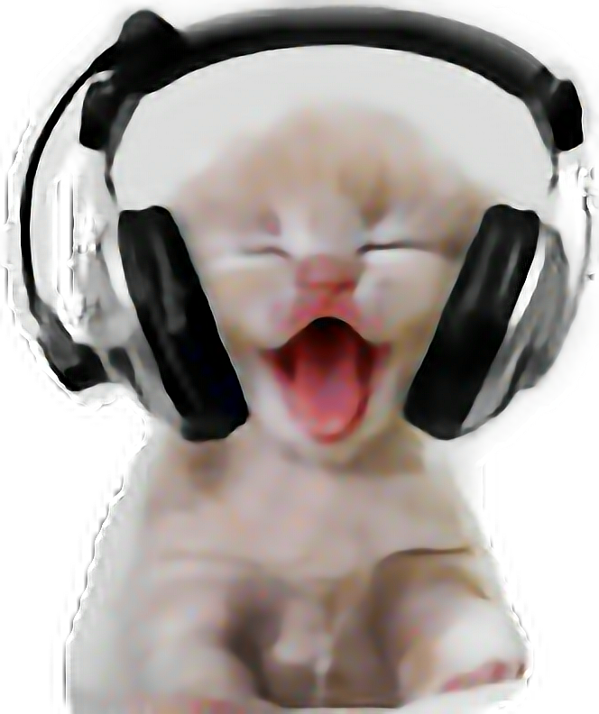 Gato riendo con audífonos.PNG Fondos de pantalla