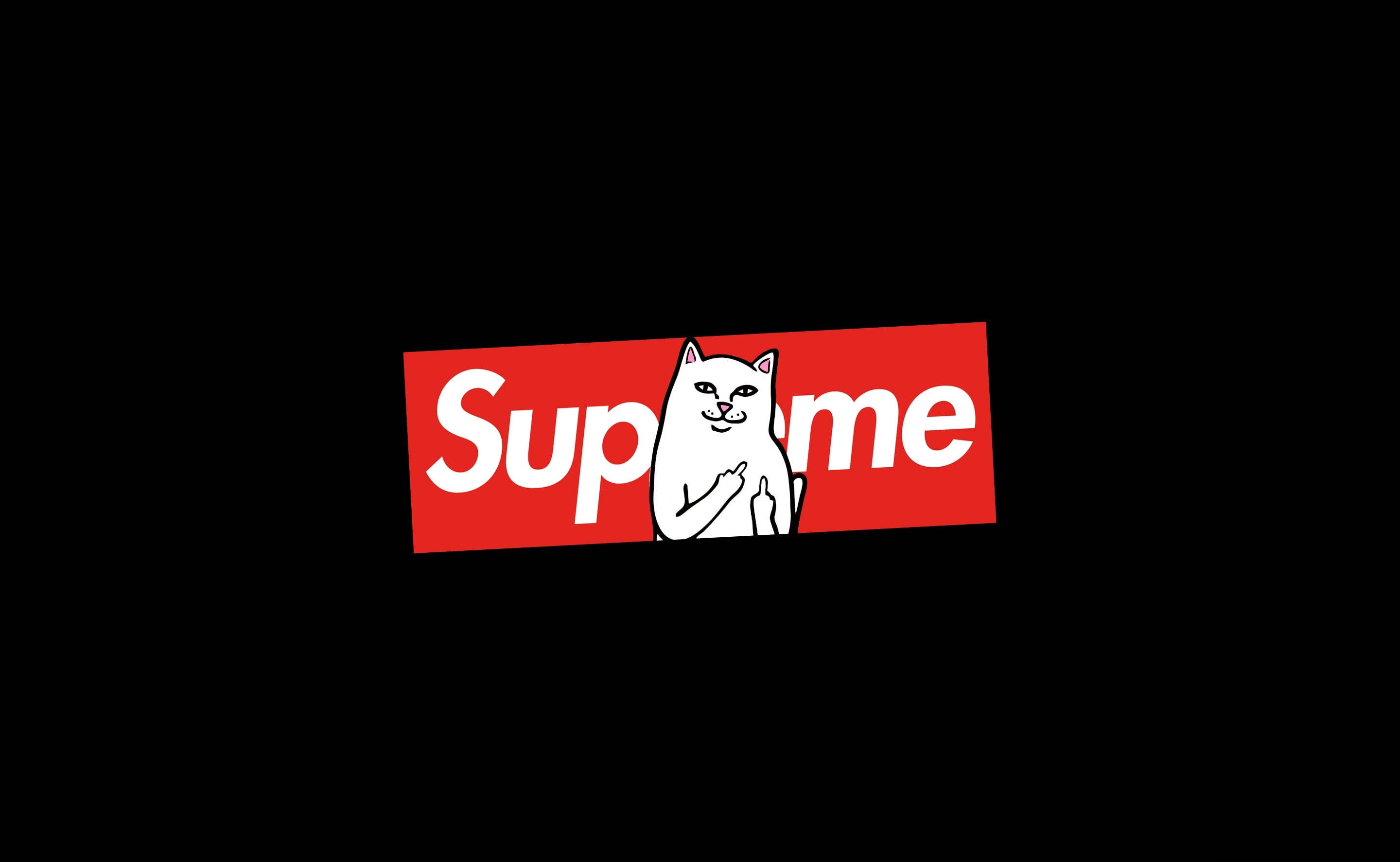 Gato Sentado en Laptop Supreme Fondos de pantalla