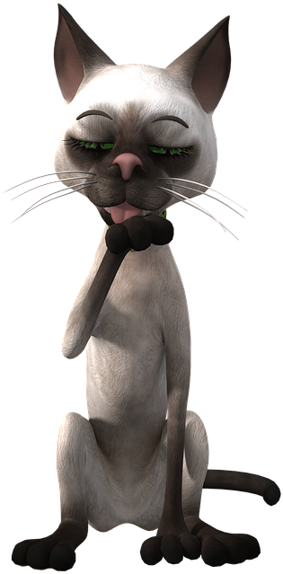 Gato siamés pensativo caricatura Fondos de pantalla