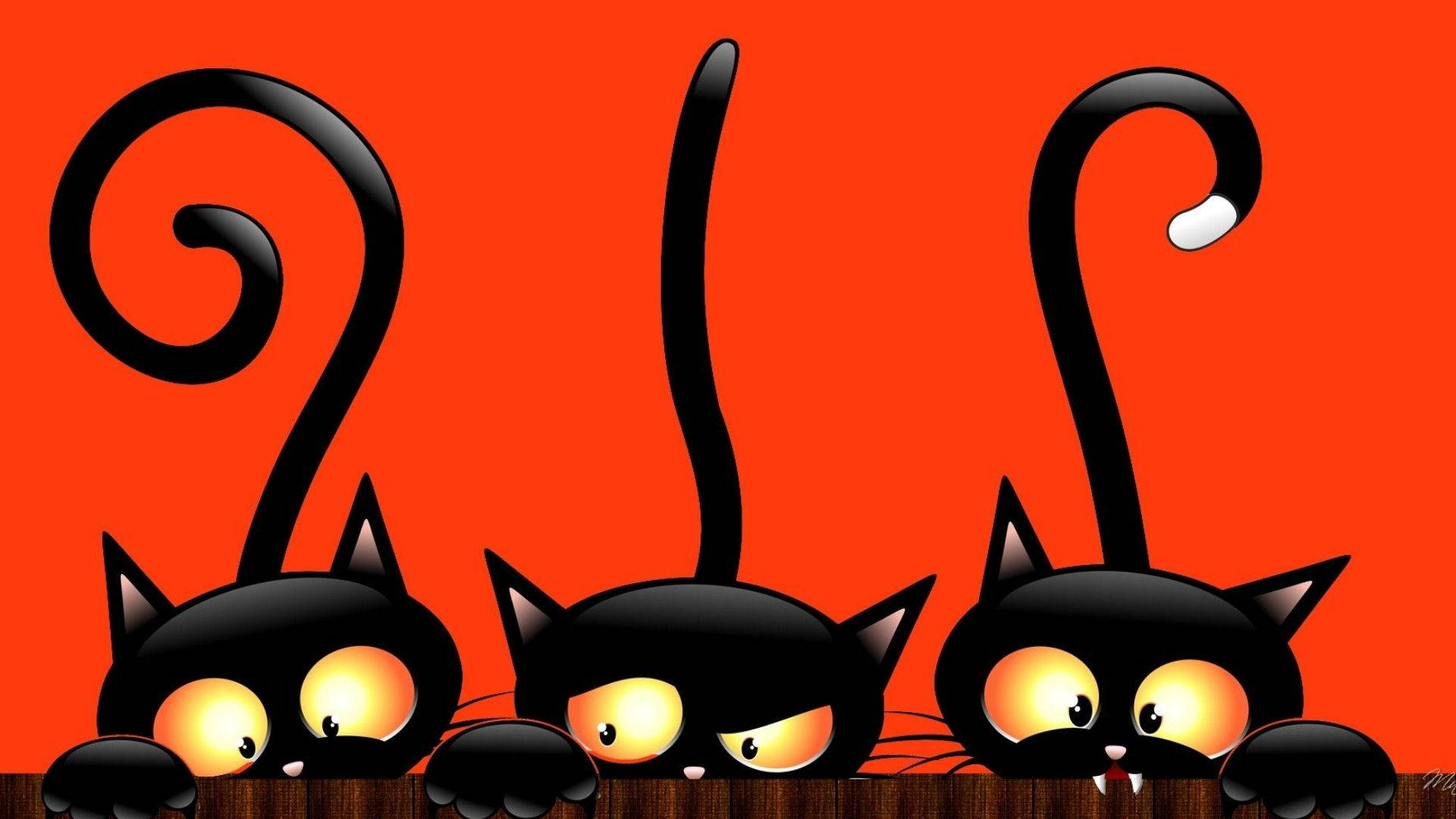 Gatos de Halloween caricatura asomándose Fondos de pantalla