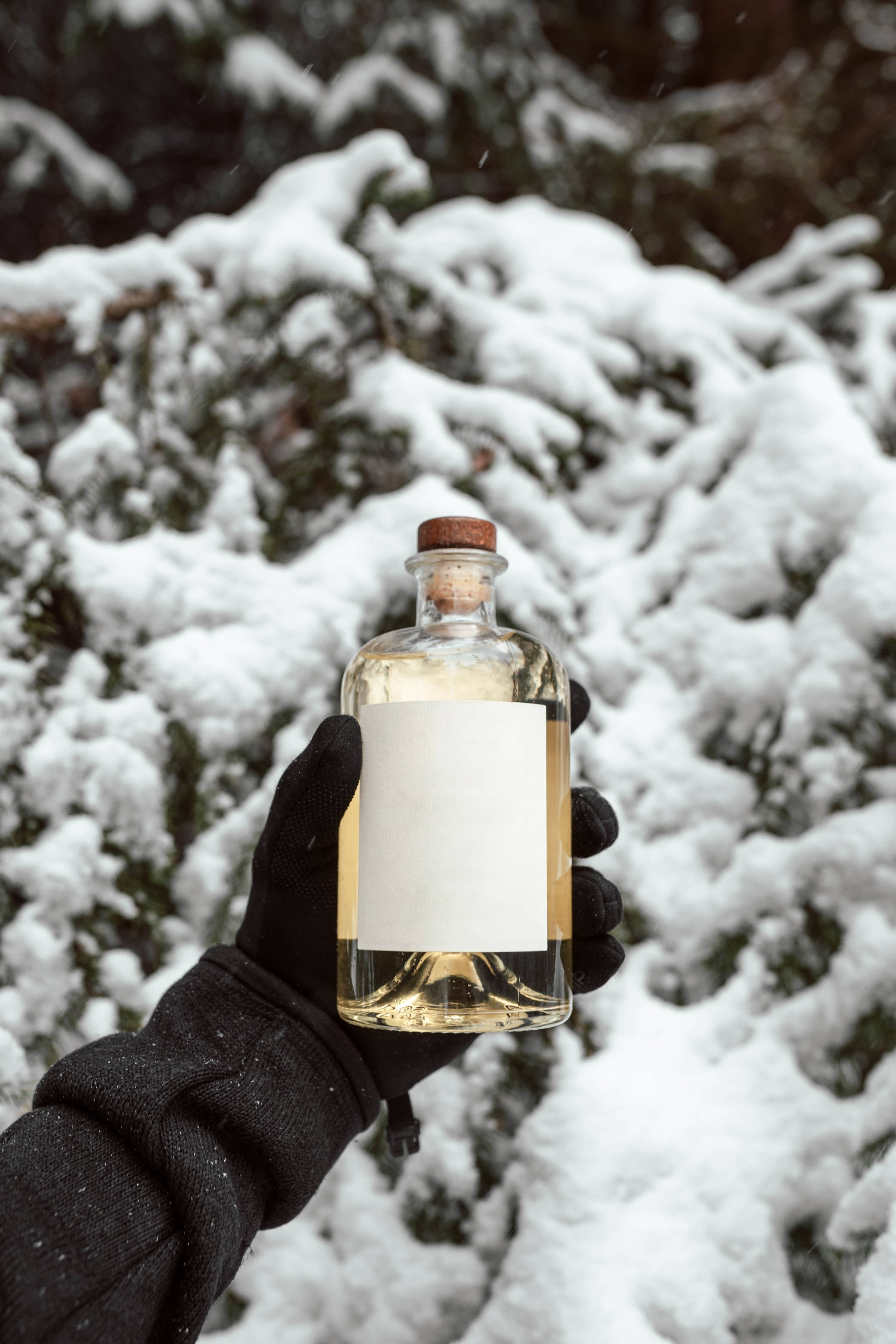 Ginebra sobre nieve Fondos de pantalla