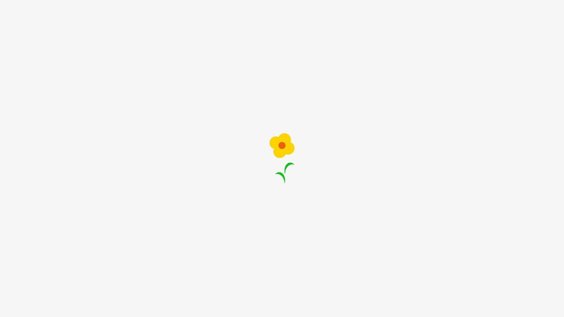 Girasol Blanco Estético Fondos de pantalla