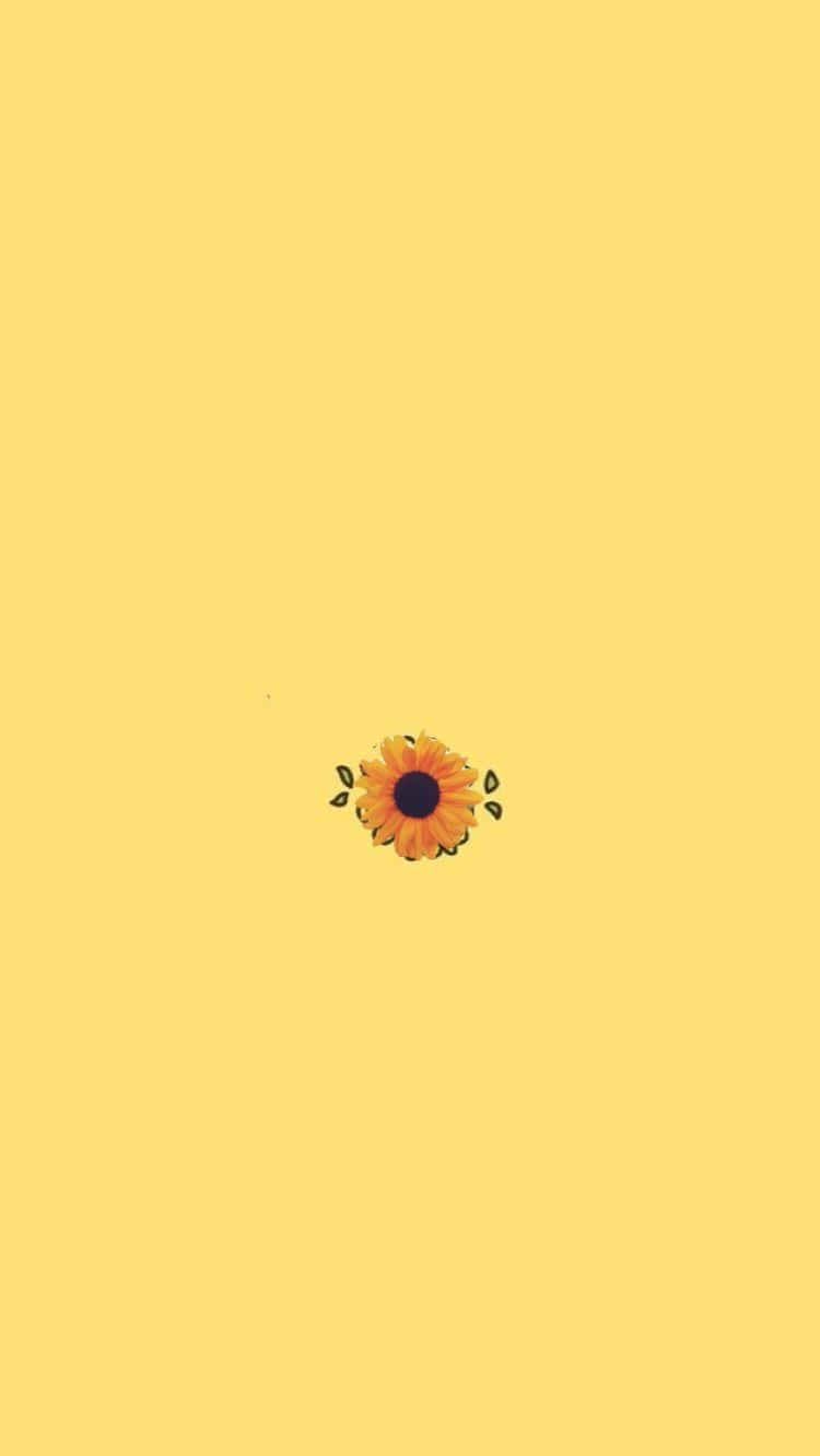 Girasol minimalista lindo amarillo pastel Fondos de pantalla