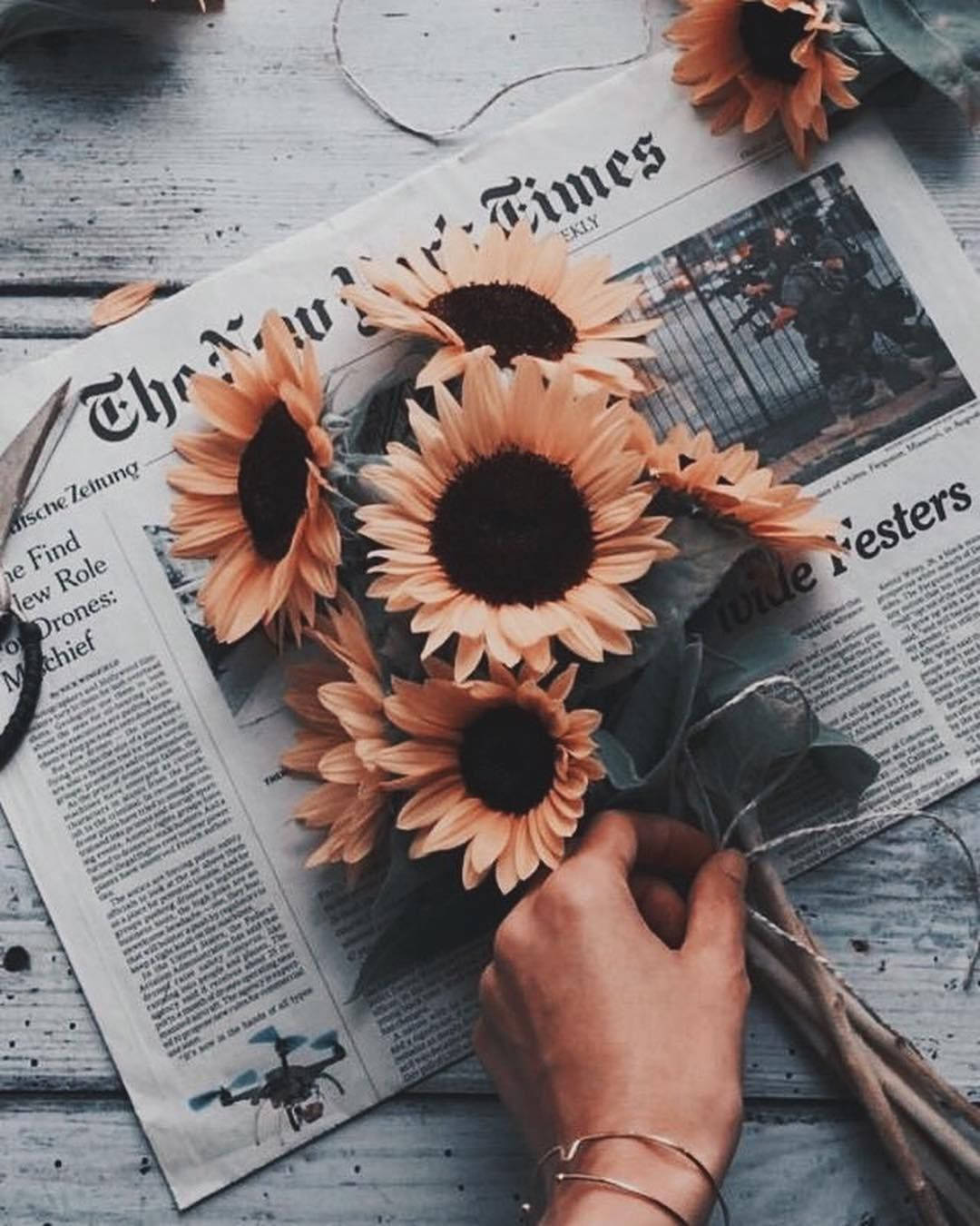 Girasoles Sobre Periódico Estética Tumblr Fondos de pantalla