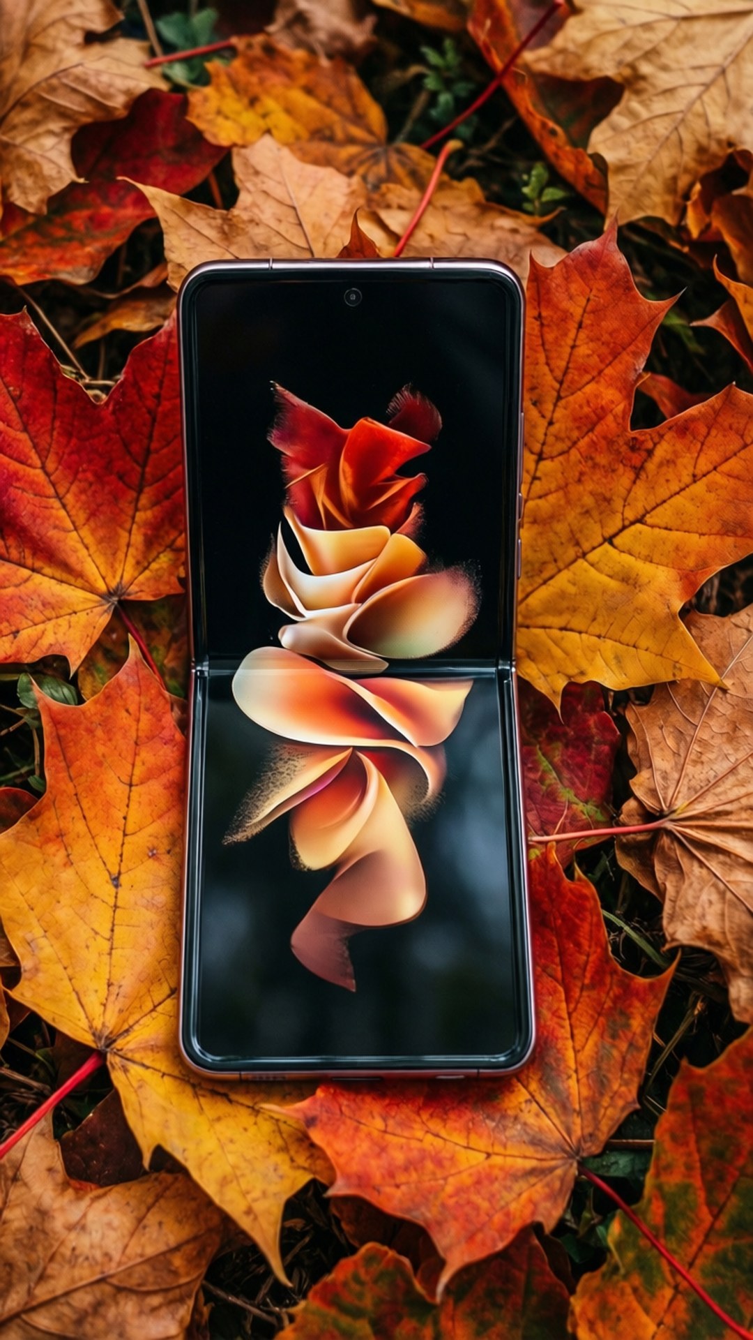 Giro de Hojas de Otoño Fondos de pantalla