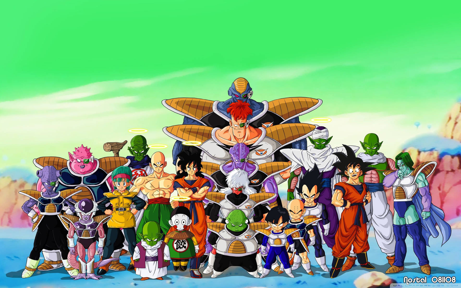 Dragon Ball Z, personajes en el planeta Namek con San Goku, Piccolo y otros androides.