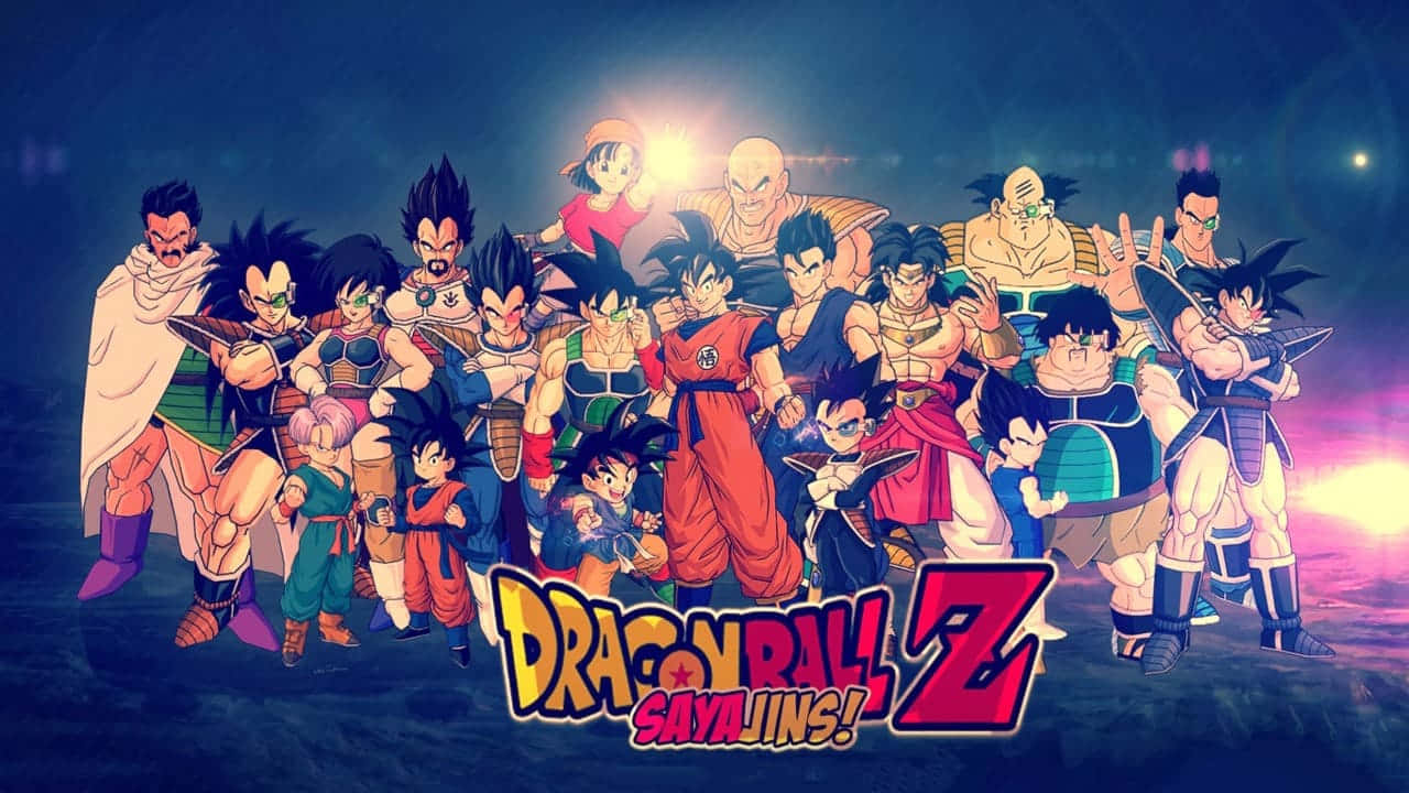 Goku y Vegeta frente a frente en Dragon Ball Z Fondos de pantalla