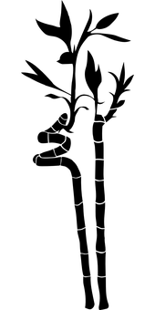 Gota de agua sobre fondo negro.JPG Fondos de pantalla