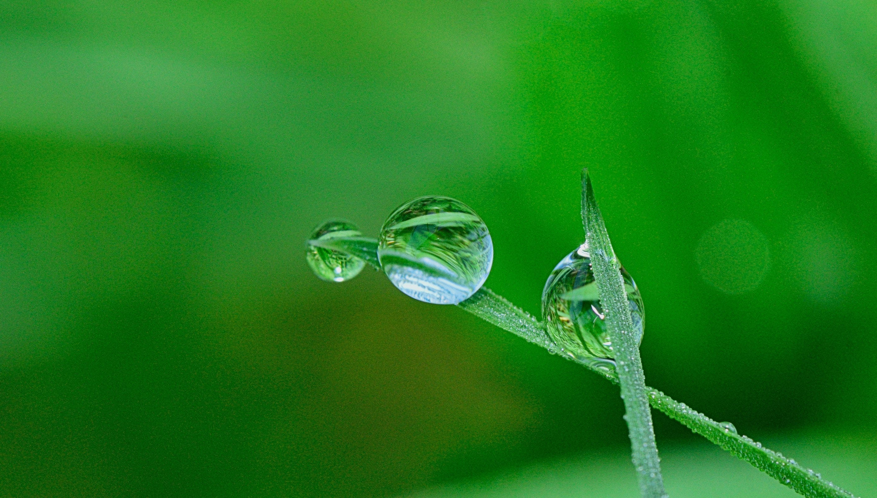Gotas de Agua Hijau Fondos de pantalla